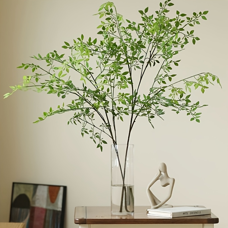 Rubber Plant Ficus - 1 Piece, Single Stem, Without Vase,