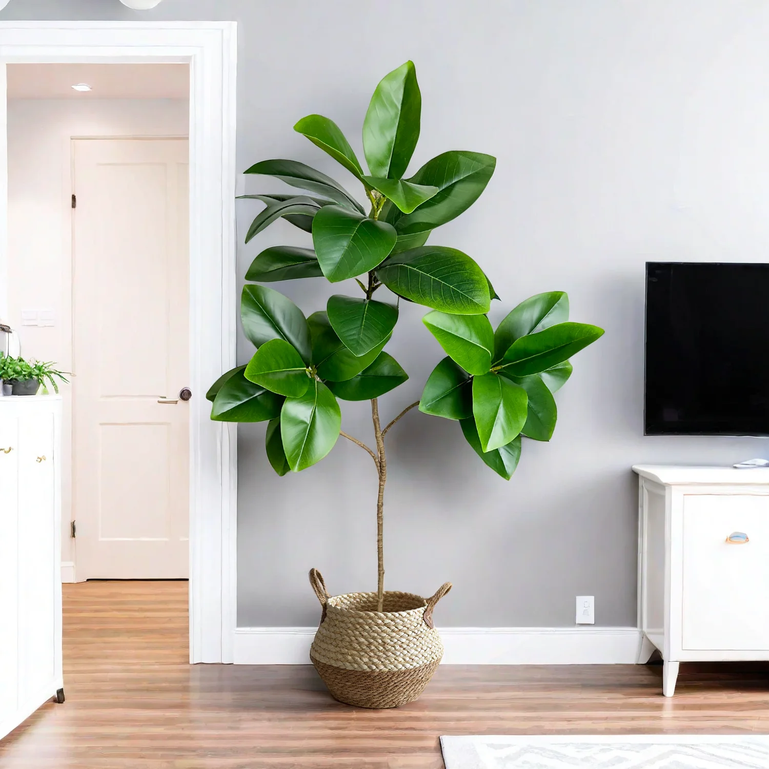 Rubber Plant Ficus - 70/135cm Artificial Ficus Tree Branches Large