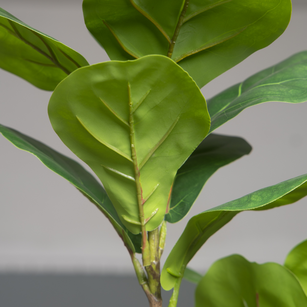 103cm/132cm Artificial Ficus T - Rubber Plant Ficus recensione e prezzo