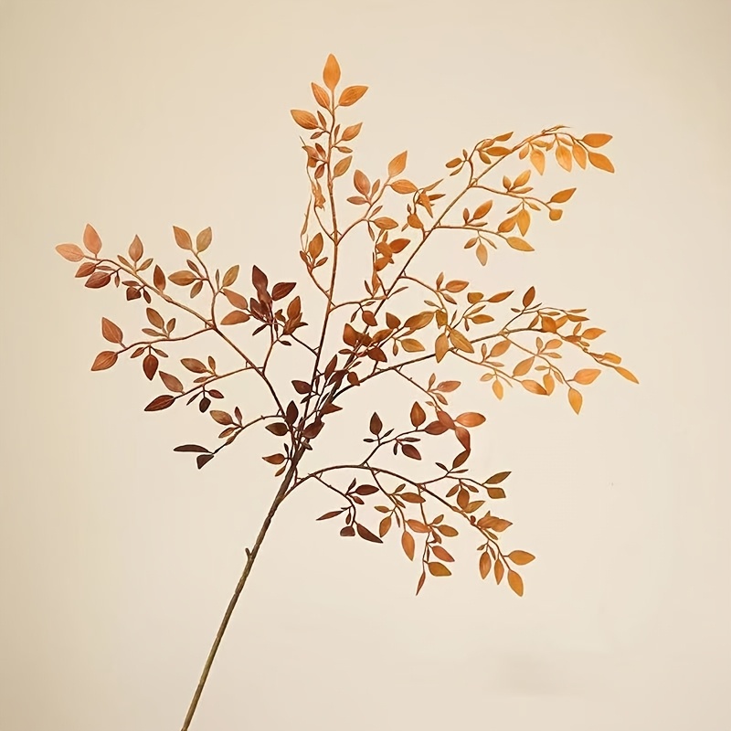 1 Piece, Single Stem, Without  - Rubber Plant Ficus recensione e prezzo