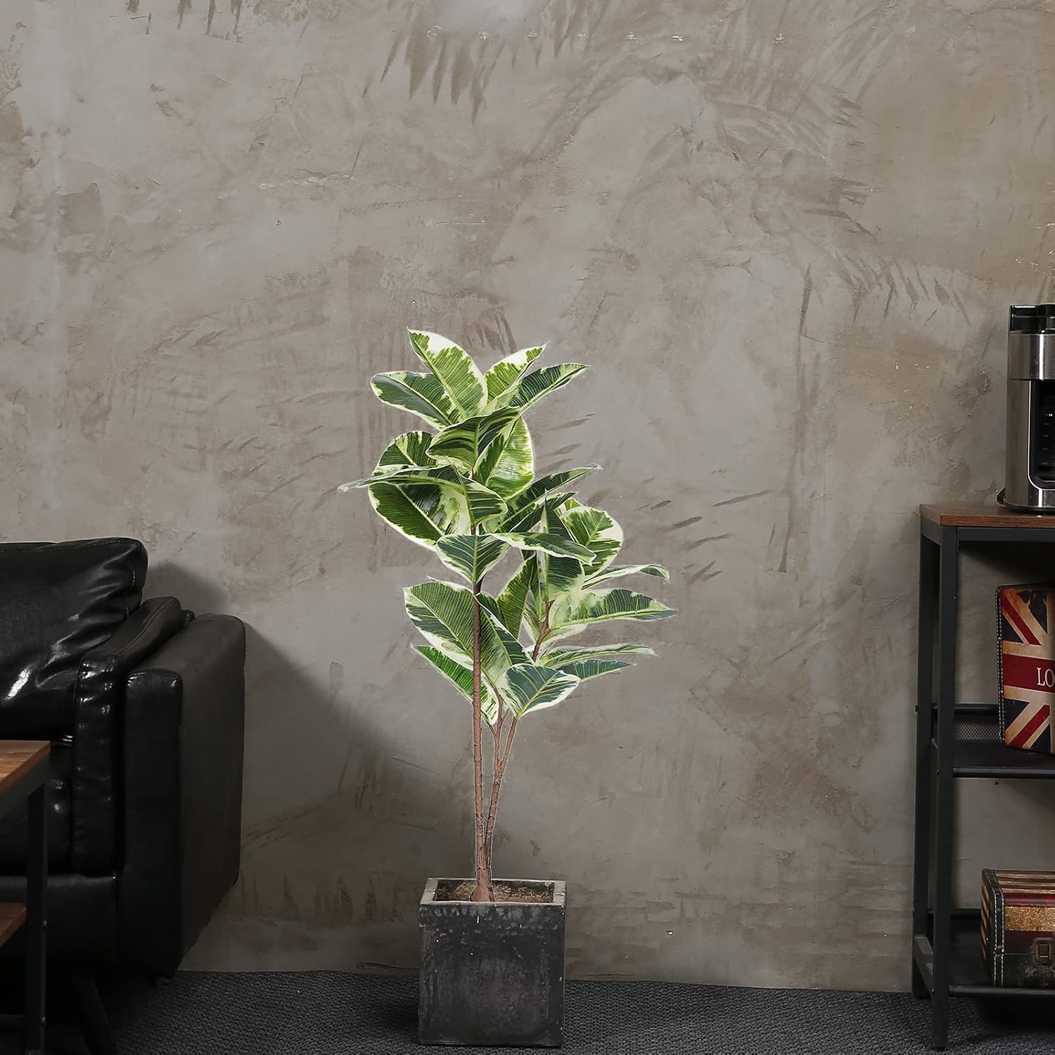 Artificial Rubber Tree Ficus P - Rubber Plant Ficus recensione e prezzo