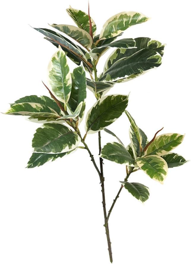 Ficus Tineke Artificial Plant  - Rubber Plant Ficus recensione e prezzo