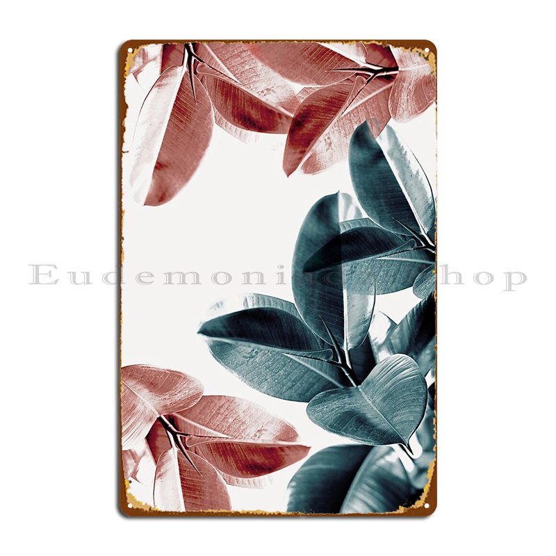 Rubber Plant Leaves Green And  - Rubber Plant Ficus recensione e prezzo