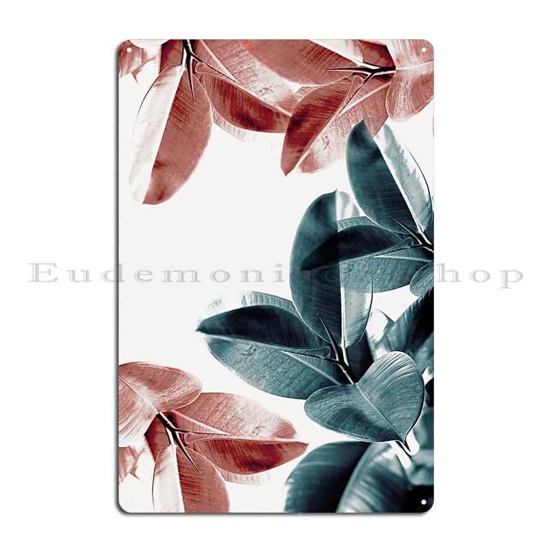 Rubber Plant Leaves Green And  - Rubber Plant Ficus recensione e prezzo