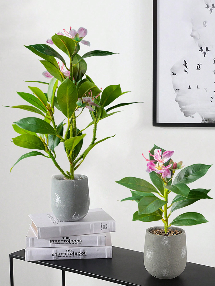 21-40cm Artificial Azaleas Pla - Rubber Plant Ficus recensione e prezzo